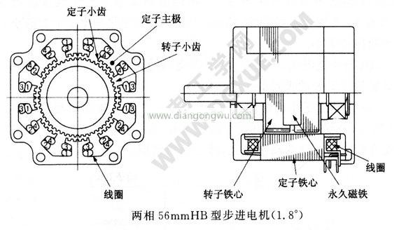 兩相56mmHB型步進電機結構